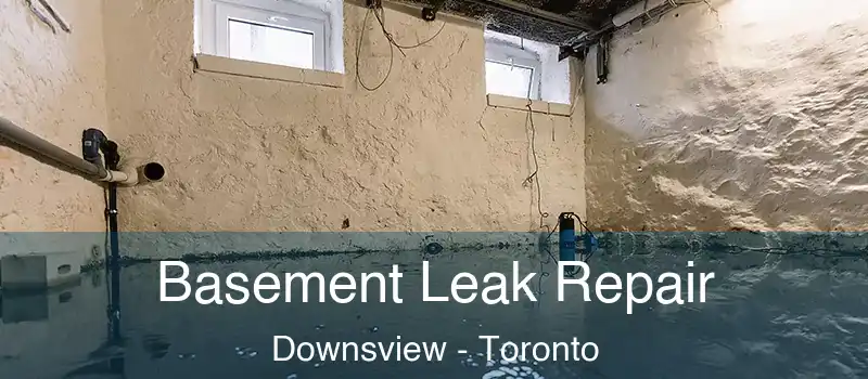  Basement Leak Repair Downsview - Toronto